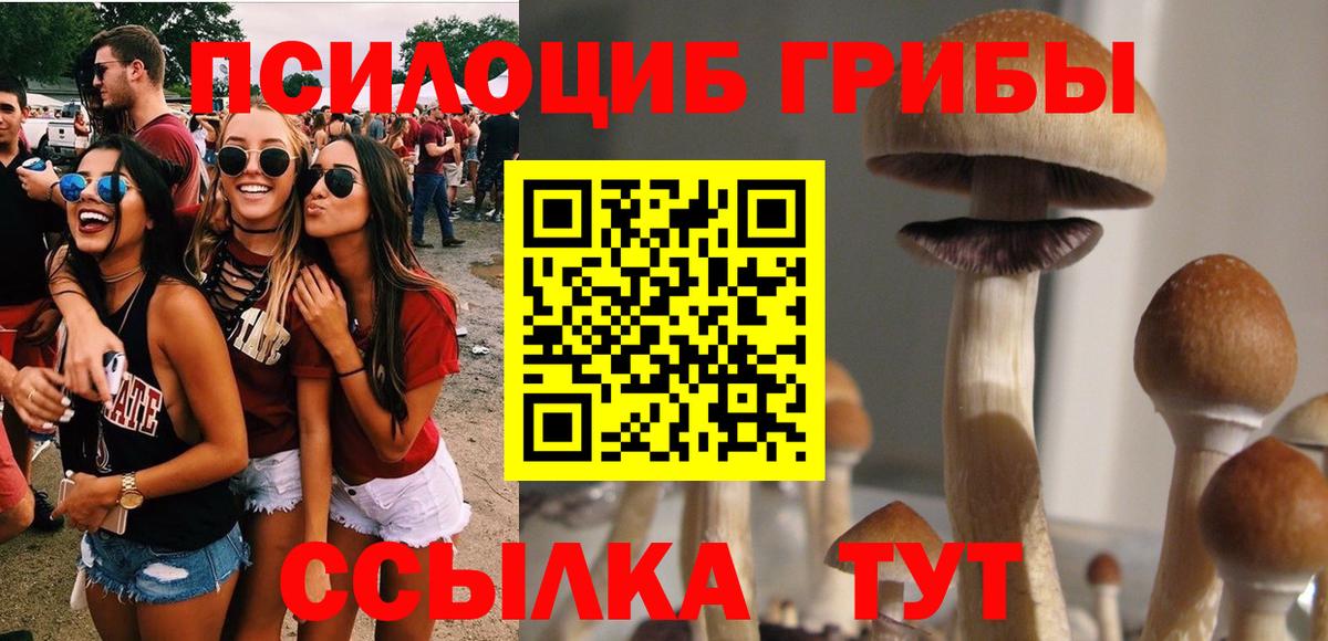 Псилоцибиновые грибы Psilocybe  Галлюциногенные грибы прущие грибы  Борисоглебск  Вход с VPN 